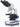 Binocular Microscope