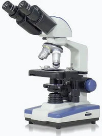 Binocular Microscope