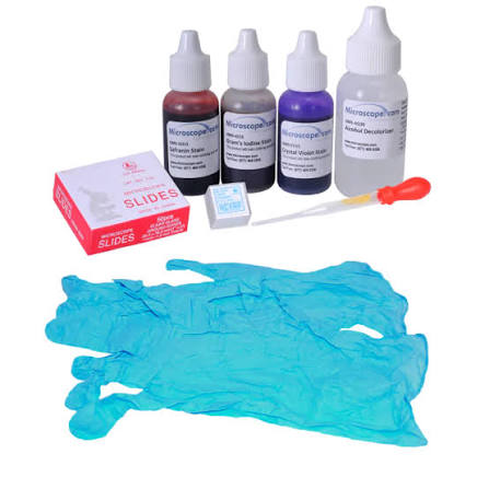 Gram Stain Kit
